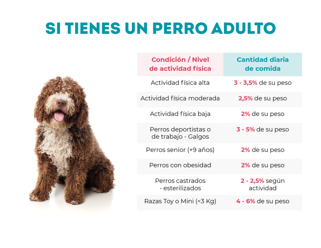 como calcular la cantidad de comida para perros segun su peso
