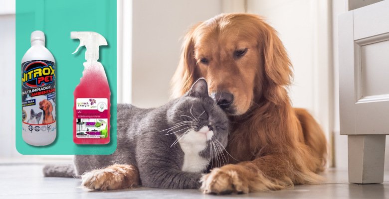 como elegir el mejor fregasuelos para eliminar el olor a perro