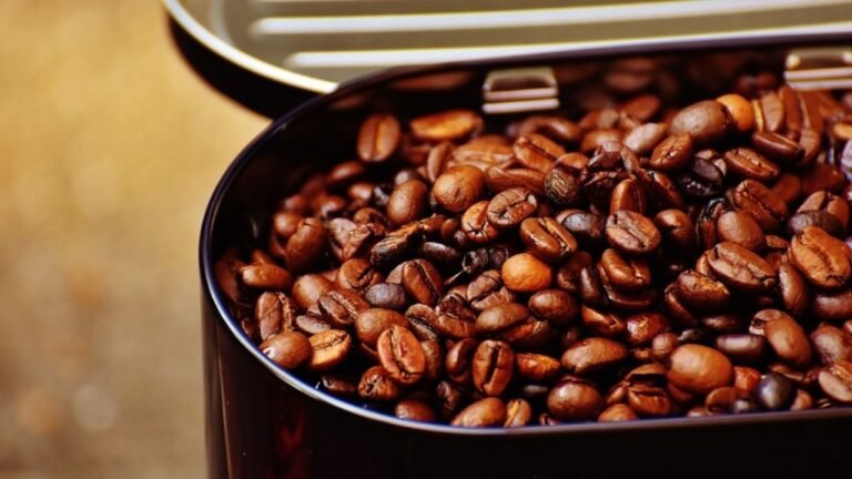 Cómo elegir el mejor recipiente para guardar café hecho