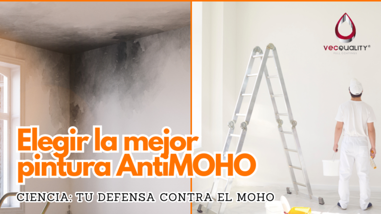 Cómo elegir la mejor pintura para moho y humedad en tu hogar