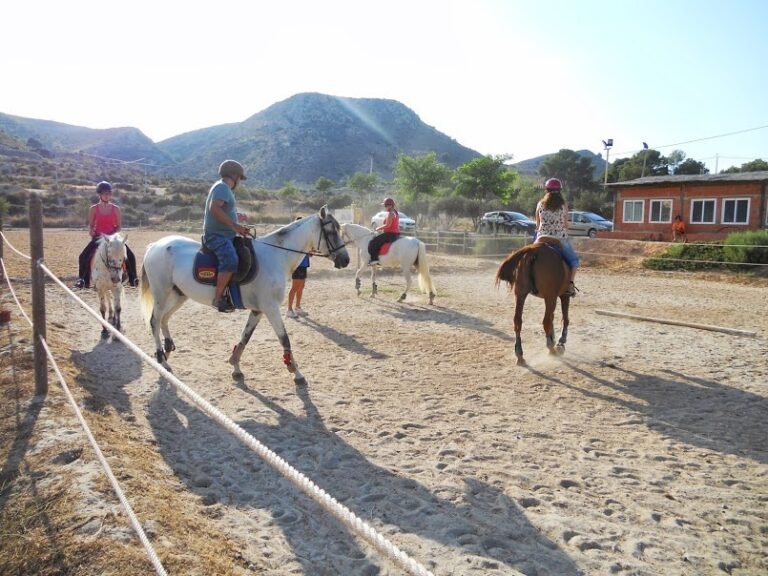 Cómo encontrar las mejores rutas para montar a caballo en Alicante