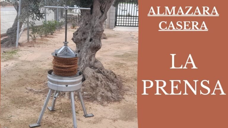 Cómo hacer una prensa casera para obtener aceite de oliva