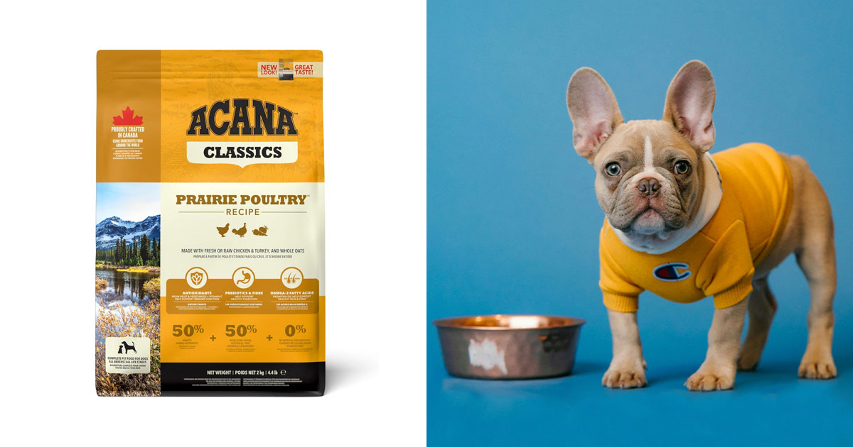 cual es el mejor pienso para perros obesos que realmente funciona