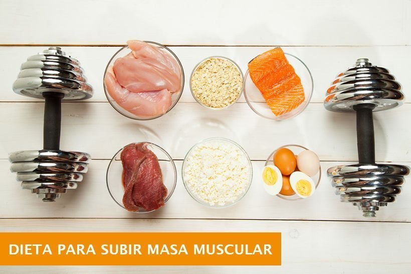 cuales son las mejores comidas para aumentar tu volumen muscular