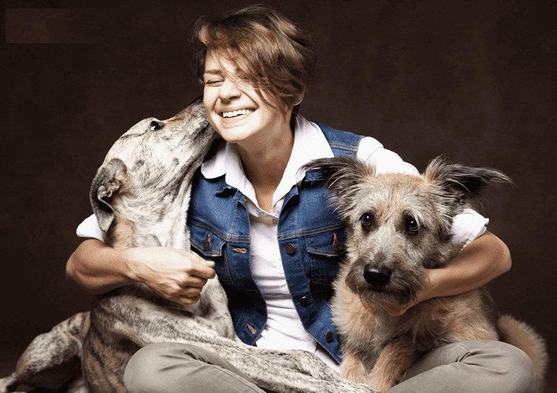 cuando se considera que un perro alcanza la edad adulta