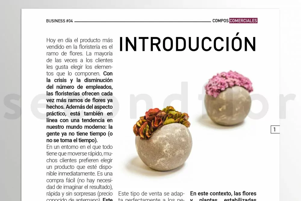 donde comprar productos patrick ta en espana guia completa