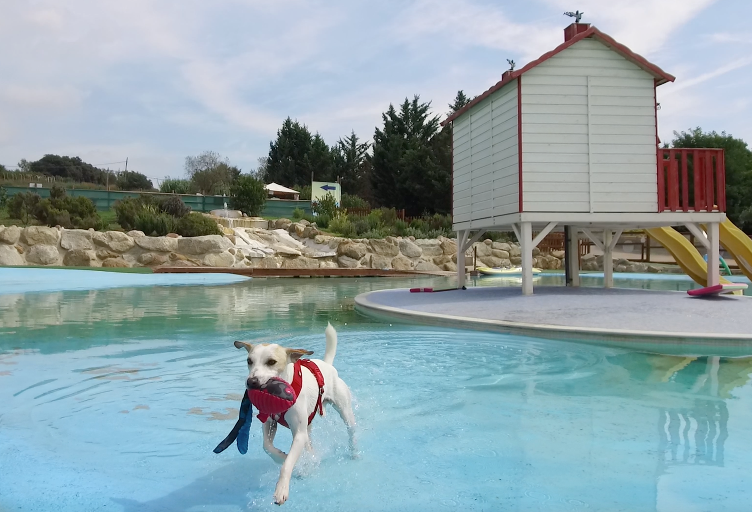 donde encontrar campings con piscina para perros en espana