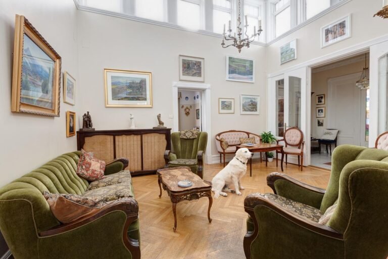 Dónde encontrar resorts que admiten mascotas en España