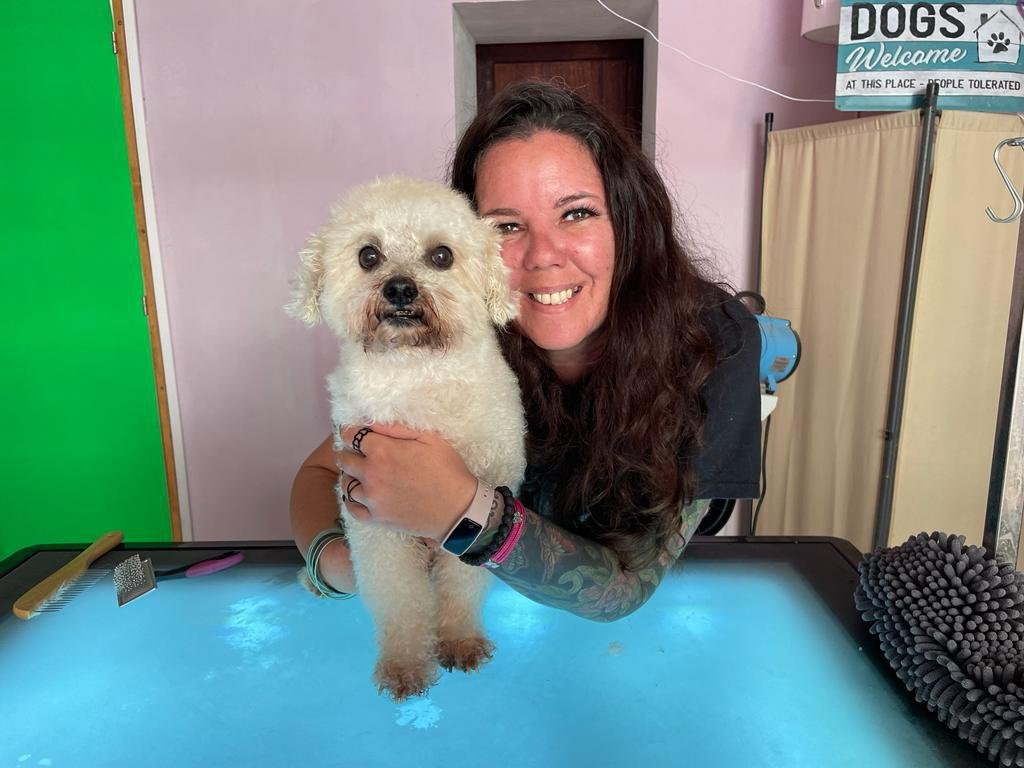 donde encontrar servicios de peluqueria canina a domicilio en palma