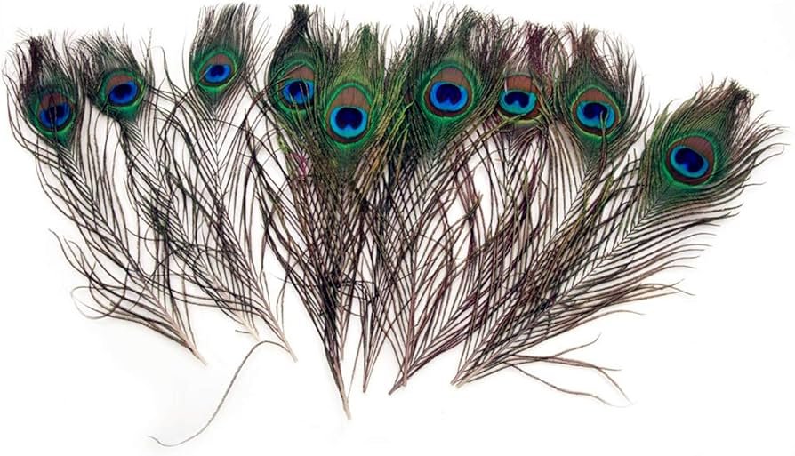 donde puedo comprar plumas de pavo real de calidad y a buen precio