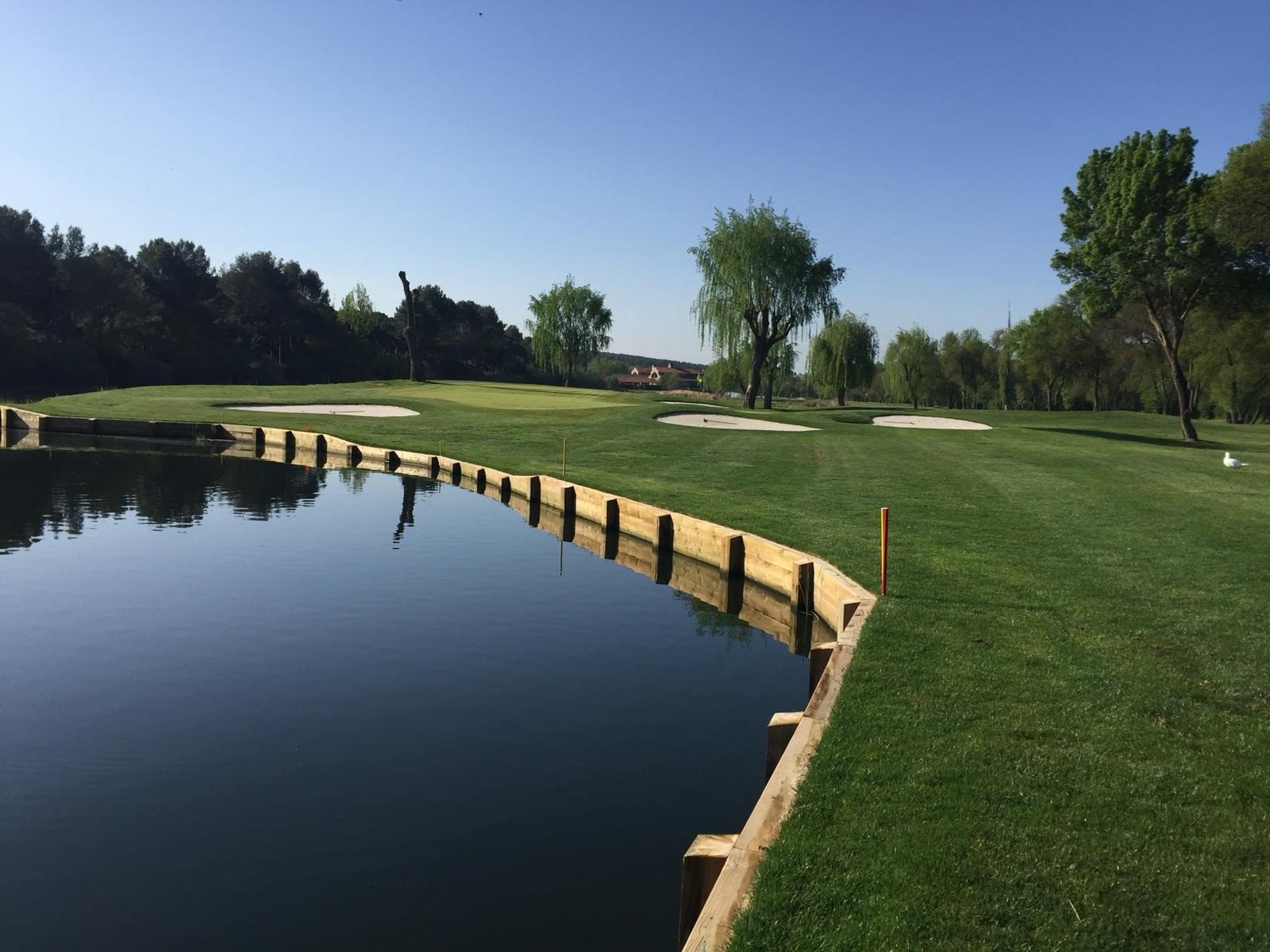 donde se encuentra el club de golf lomas bosque y que servicios ofrece