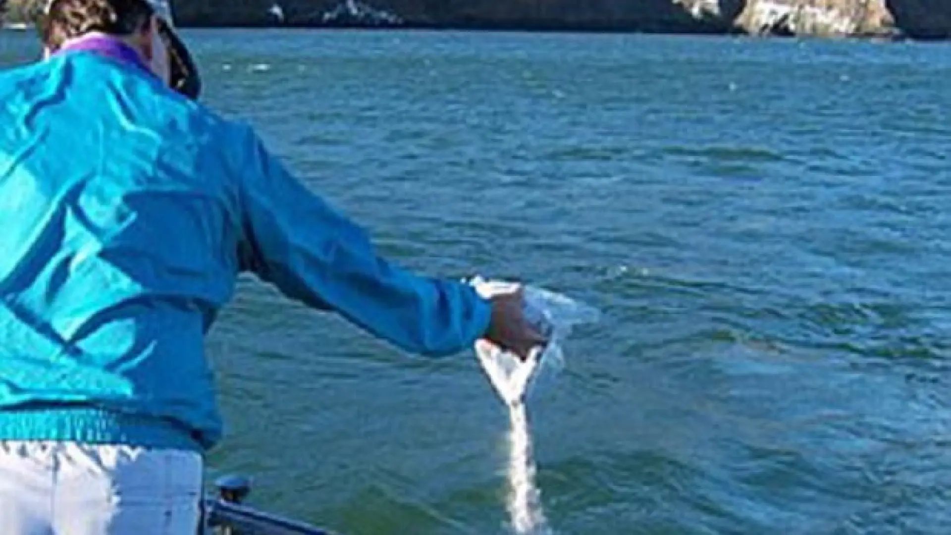 esta prohibido esparcir las cenizas de un difunto en el mar en espana