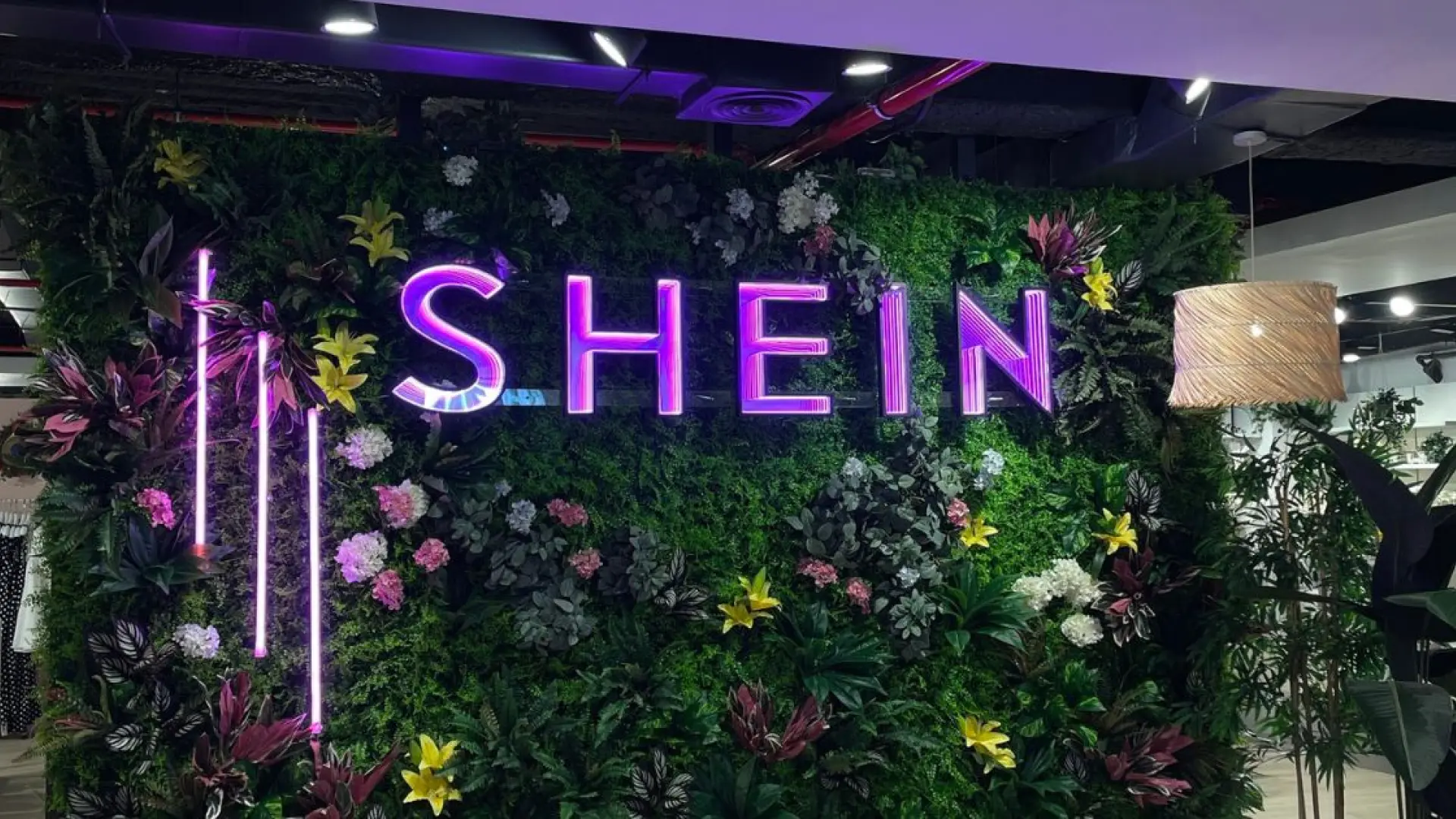 por que es mejor comprar en shein los domingos segun los usuarios