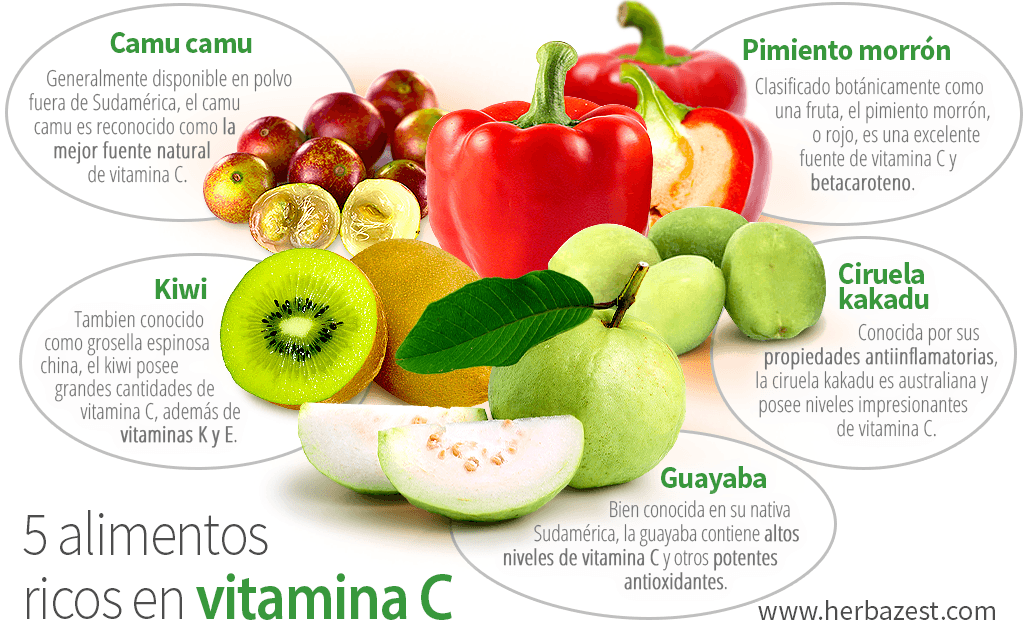 que alimentos son ricos en vitamina c y cuales son sus beneficios