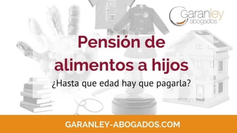 Qué cantidad de manutención debo pagar según la ley