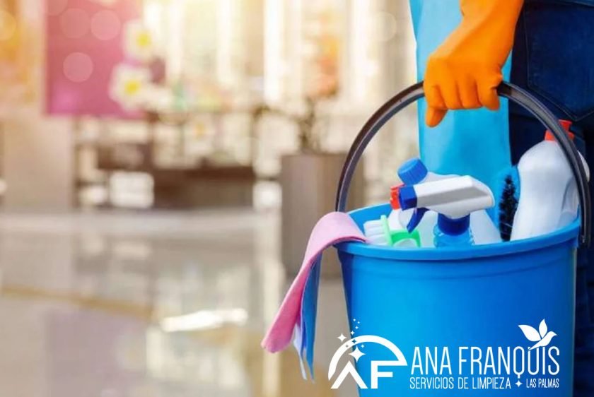 que empresas de limpieza a domicilio ofrecen servicios en las palmas