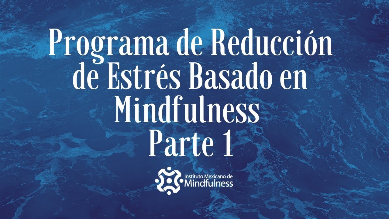 Qué Es El Programa De Reducción De Estrés Basado En Mindfulness Mbsr