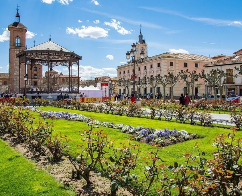 que lugares y actividades imprescindibles visitar en alcala de henares