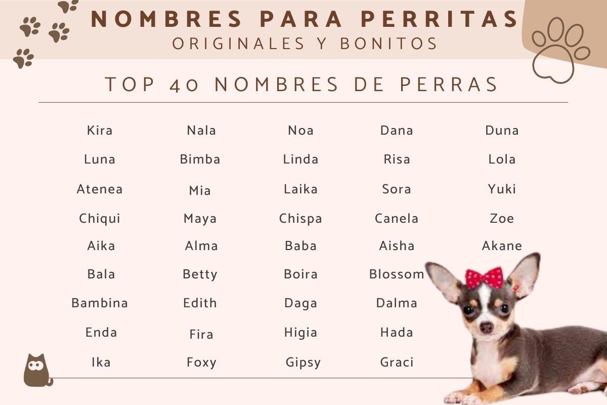 que nombres originales puedes elegir para tu perra hembra