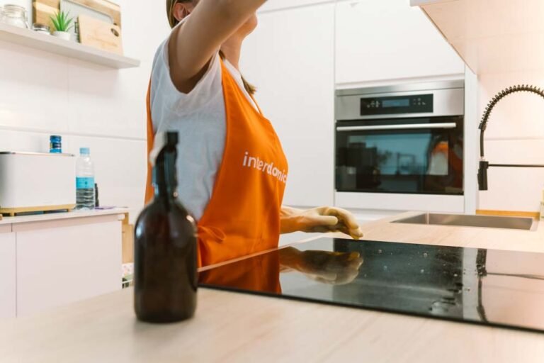 Qué opciones de limpieza por horas están disponibles en casas particulares en Zaragoza