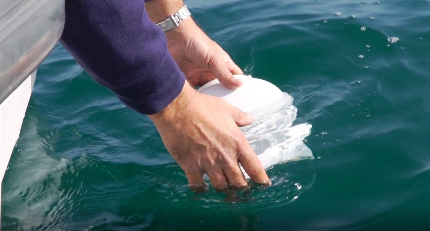 que sanciones existen por arrojar cenizas al mar en espana